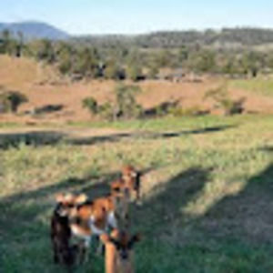 Meet your Posher, Joanne